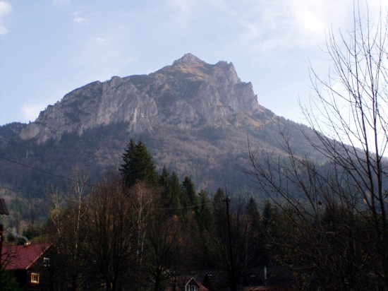Priroda