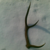 dnešný nález starého otca :)