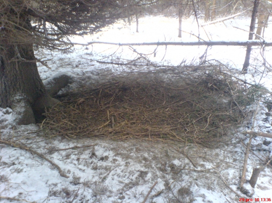 Lože černe zvěře