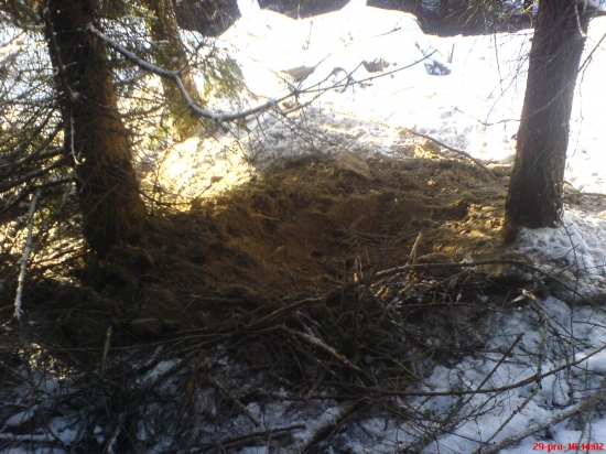 Lože černe zvěře