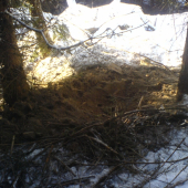 Lože černe zvěře