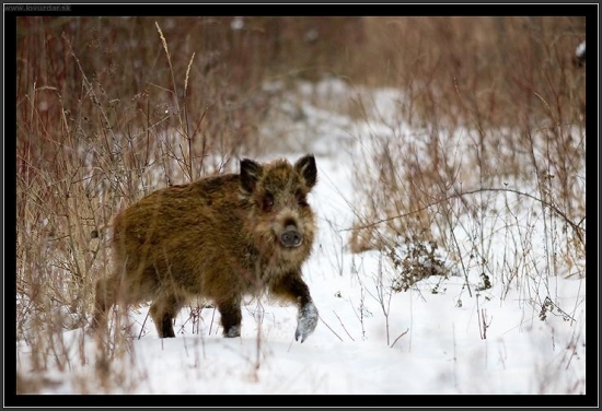 Takto to dopadlo, keď mi muž požičal foťák :-)