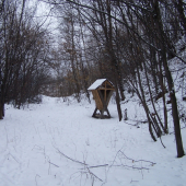 senik v jednu stredu :-)))