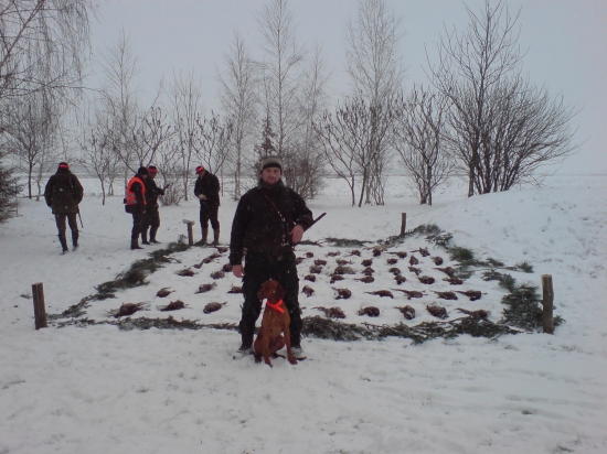 polovka na bazantov