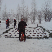 polovka na bazantov