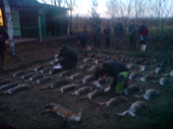 výskumný ústav potrebuje vzorky