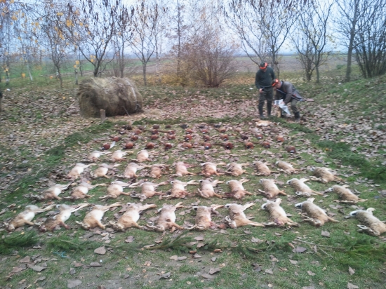 spolocna na drobnu :-)