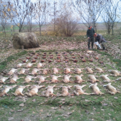 spolocna na drobnu :-)