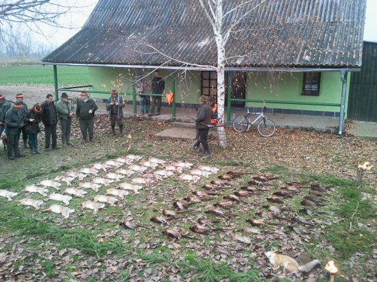 kombinovaná