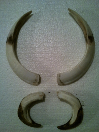 SVAGROVE ZLATE ZBRANE