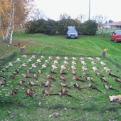 ....sezona sa zacala......