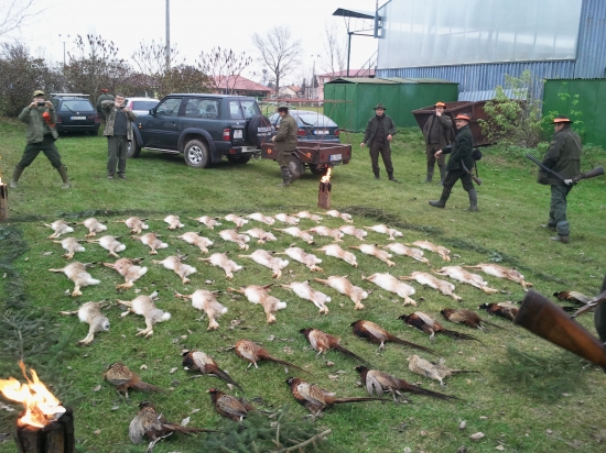 polovka na drobnu