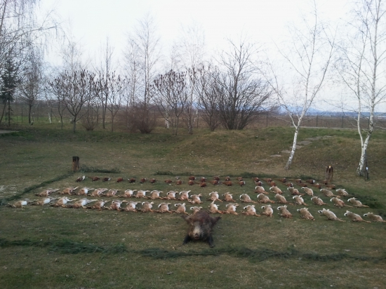 NAJKRAJSIA SPOLOCNA V ROKU 2014