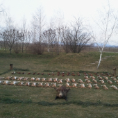 NAJKRAJSIA SPOLOCNA V ROKU 2014