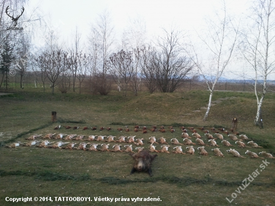 NAJKRAJSIA SPOLOCNA V ROKU 2014