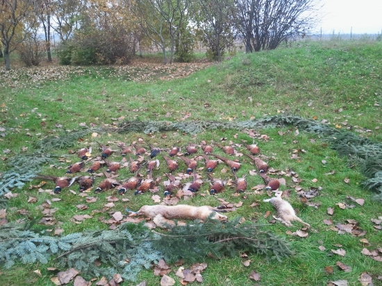 Zahajenie polovnickej sezony 2015 na drobnu zver