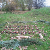 Zahajenie polovnickej sezony 2015 na drobnu zver