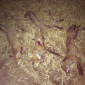 Za 10 min. 3 súrodenci