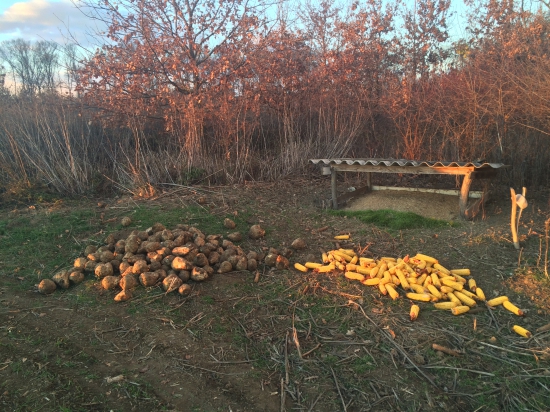 Treba si najst cas aj na KRMENIE