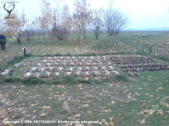 kombinovana polovka