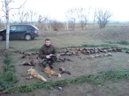 polovka na bazantov