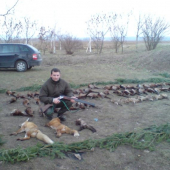 polovka na bazantov