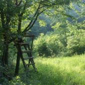 Sedačka