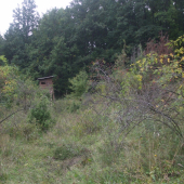 Posed za oplotkom ...