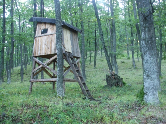 Kazateľňa pod Lyscom