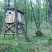 Kazateľňa pod Lyscom