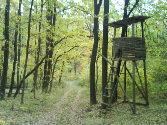 Posed - Šuranova jama