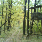 Posed - Šuranova jama