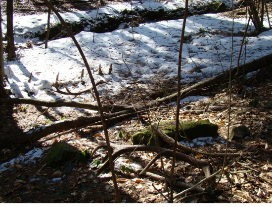 Nepravidelný 14-torák