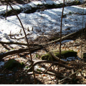 Nepravidelný 14-torák