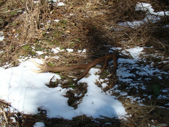 Po pol hodine ďalší