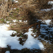 Po pol hodine ďalší