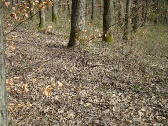 Dnes nájdený pár k ID-112323