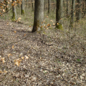 Dnes nájdený pár k ID-112323