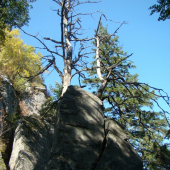 Chodníkom na Hornú skalu