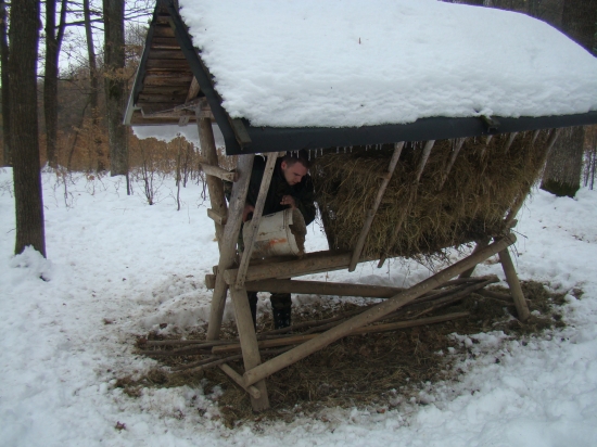Mendo 33 nie len hladá haluze ale aj prikrmuje