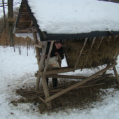 Mendo 33 nie len hladá haluze ale aj prikrmuje
