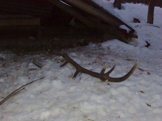 Konečne sa podarilo aj synovi