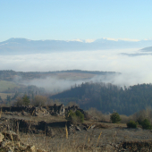 dnes ráno