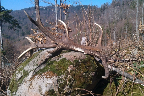 Piatková vychádzka