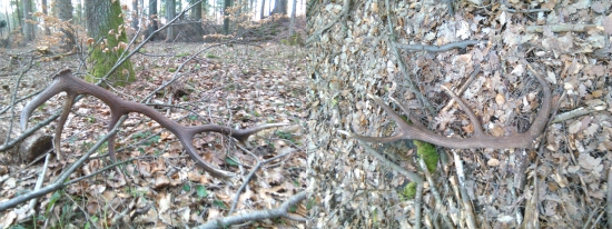 Občas  sa aj zadarí