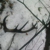 2. dnes najdeny vlanajsi