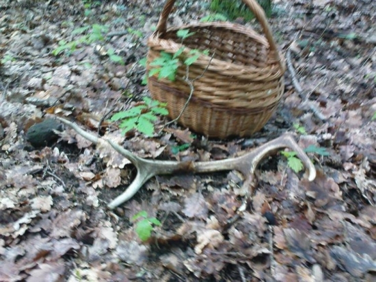 Nejak sa mi triasli ruky