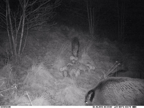 Tak kolik..........????