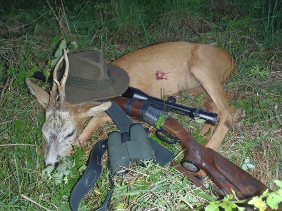 32 vycházek