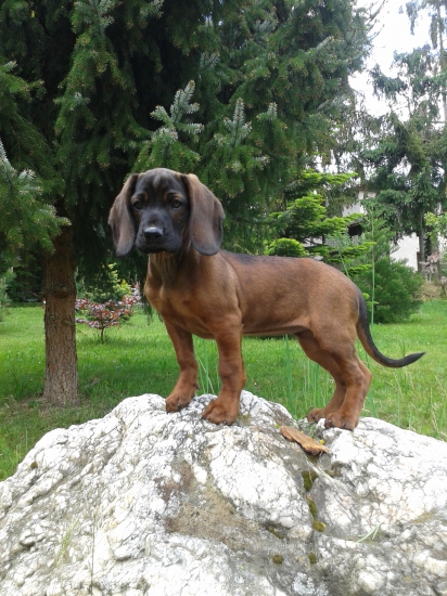 CIRA Kamenný dvor Bretejovce